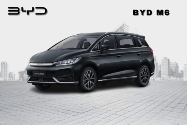 BYD M6